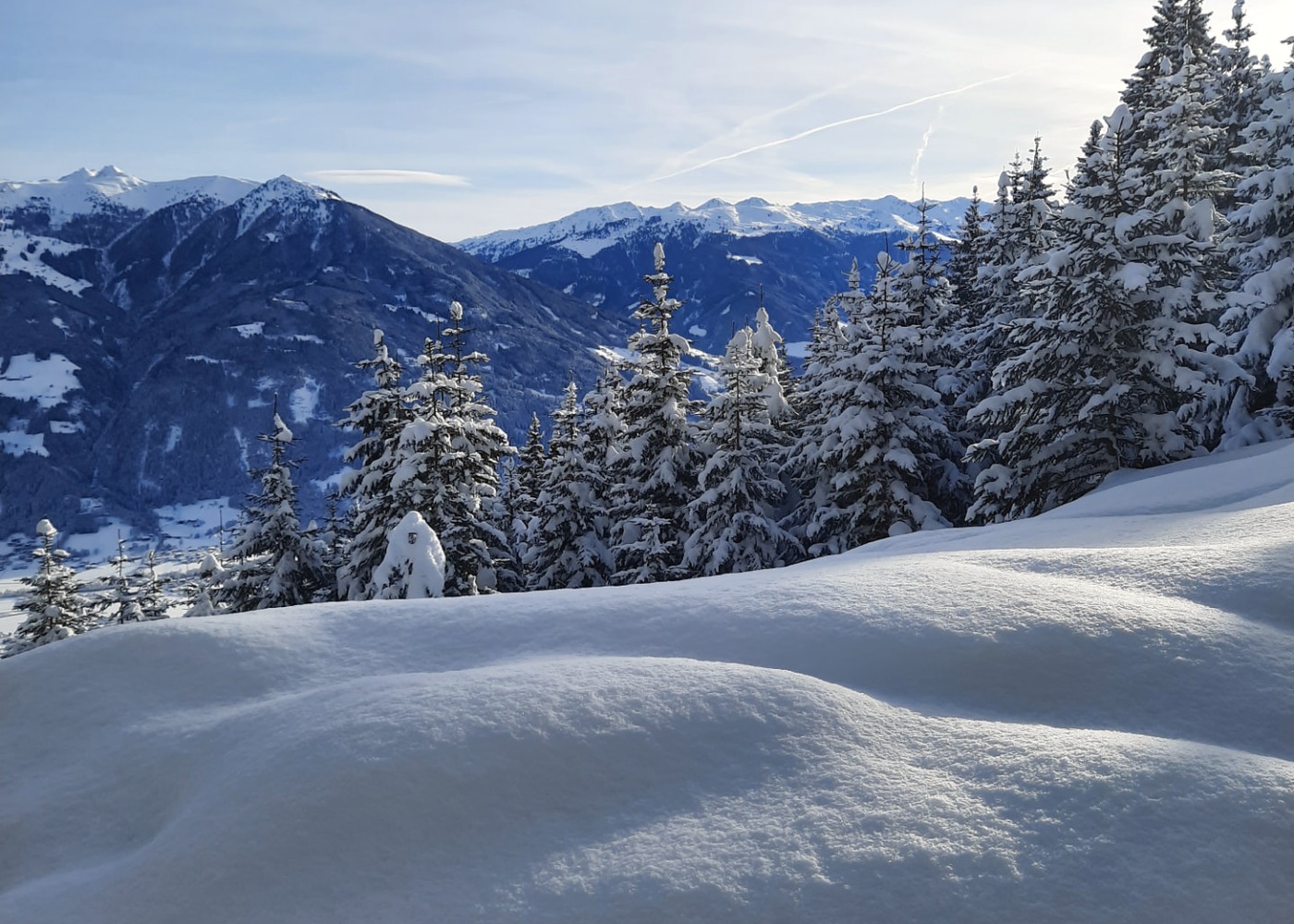 Winter